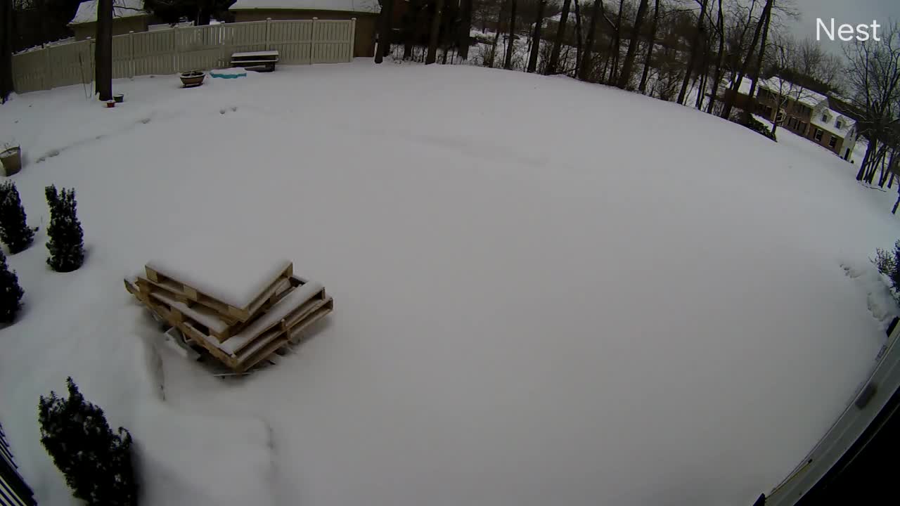 video.nest.com