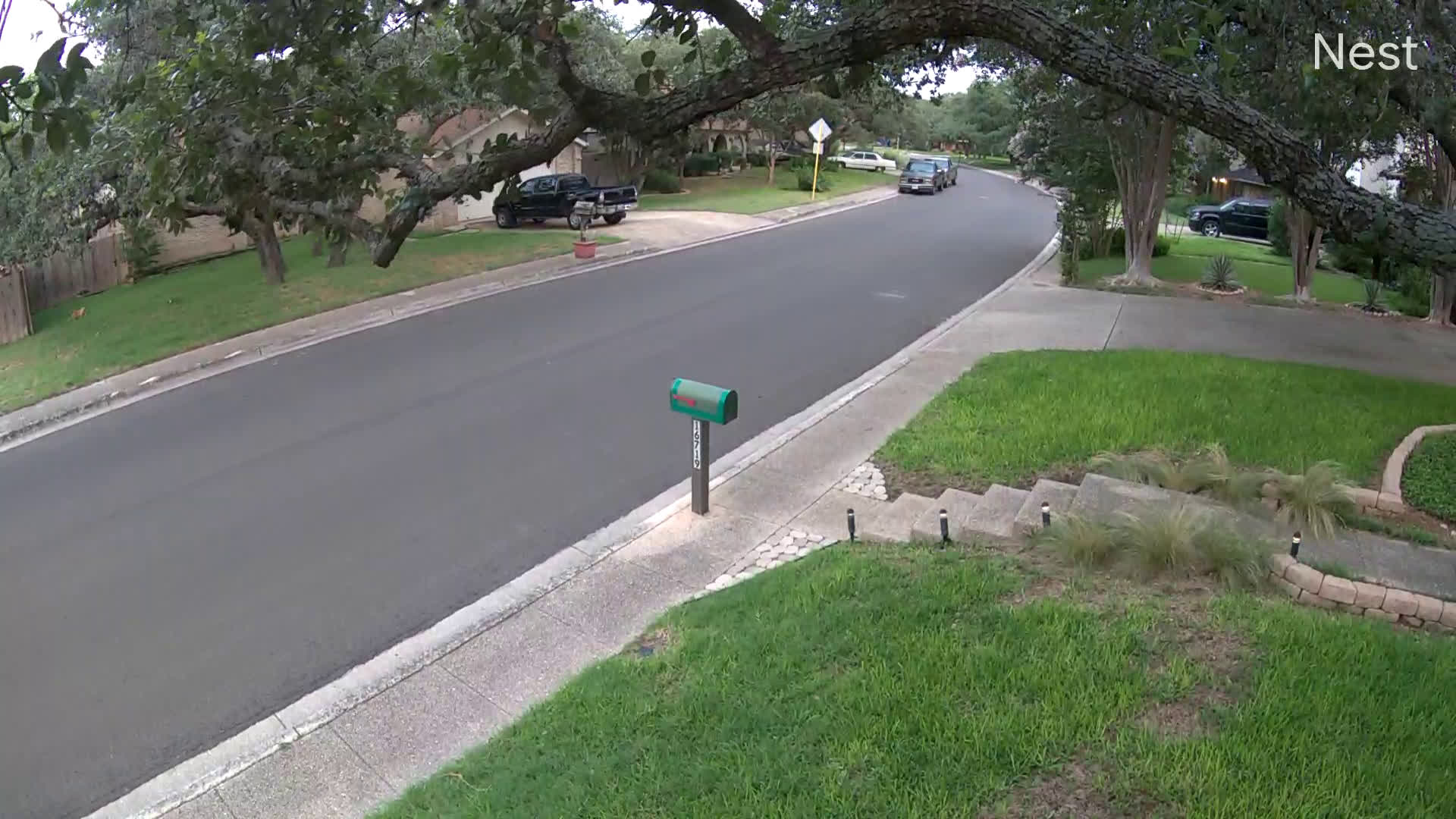 video.nest.com